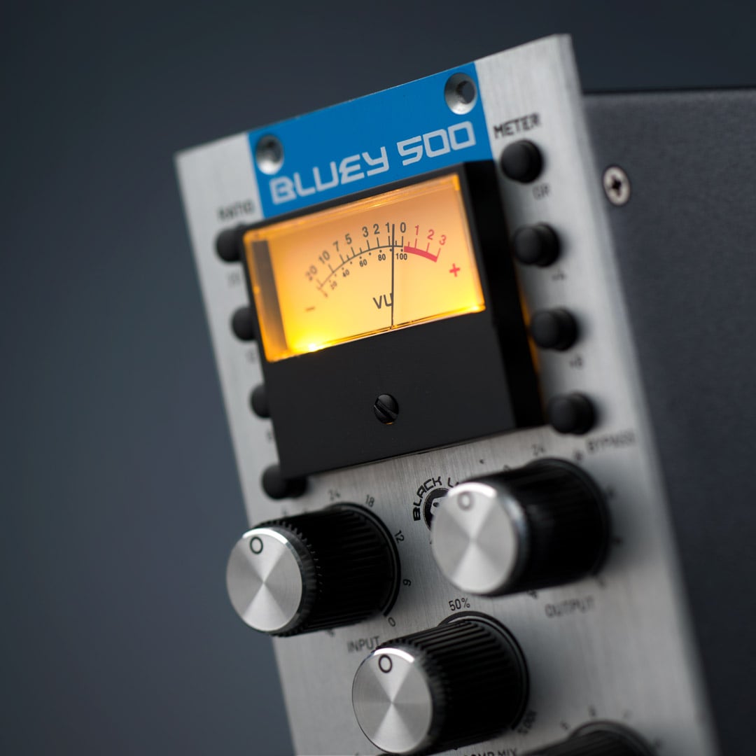 Black Lion Audio Bluey 500 2-Slot Modul